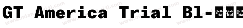 GT America Trial Bl字体转换